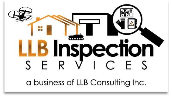 LLB Inspection Services