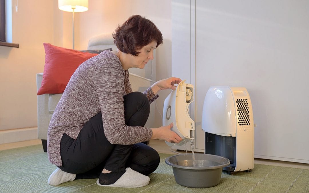5 Ways to Prevent Mold in Your Home