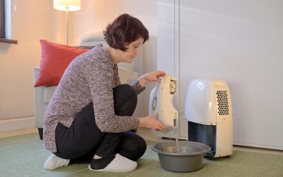 5 Ways to Prevent Mold in Your Home
